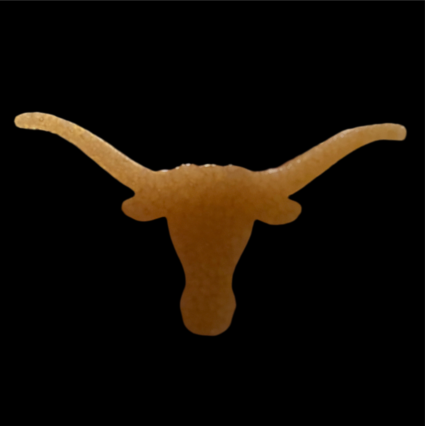 College Longhorn
