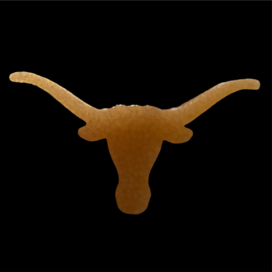 College Longhorn
